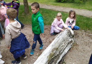 Dzieci poznają różne drewno